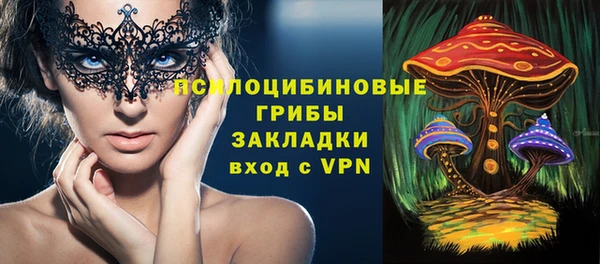 молекула духа Коряжма