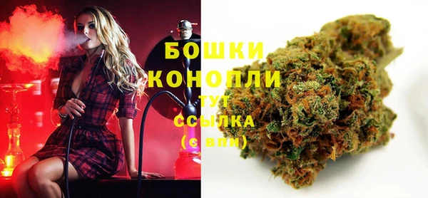 молекула духа Коряжма