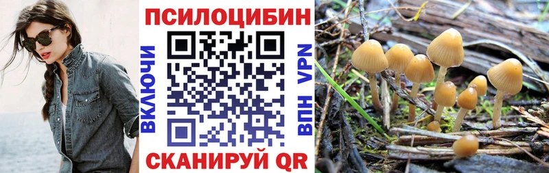 Псилоцибиновые грибы Magic Shrooms  Ленск 
